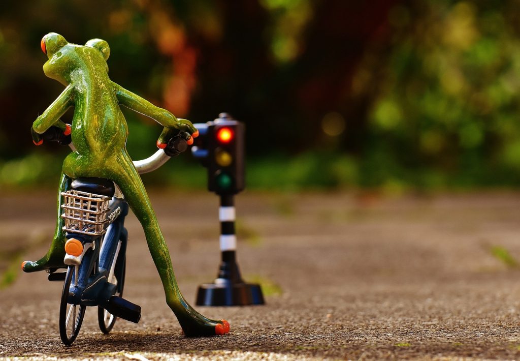 frog, figure, bicycle